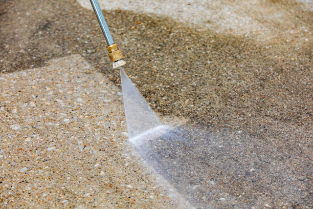  Thonotosassa, FL Pressure Washing Pros