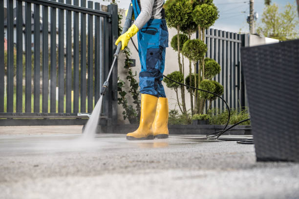 Trusted Thonotosassa, FL  Pressure Washing Services Experts