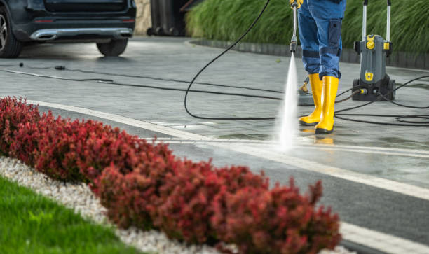 Best Dumpster Area Cleaning  in Thonotosassa, FL